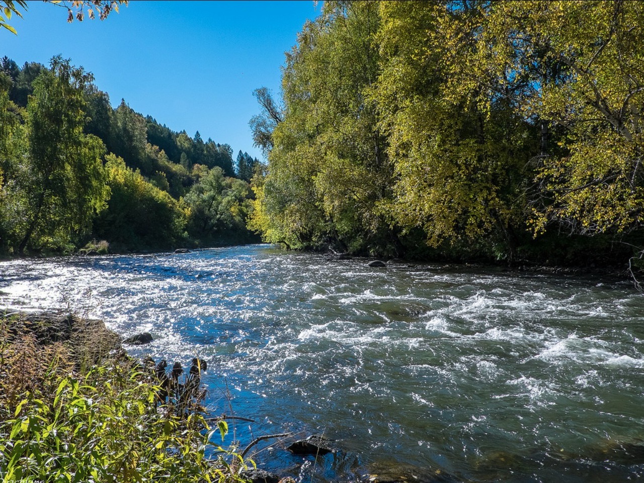 Река Ануй - фото 1