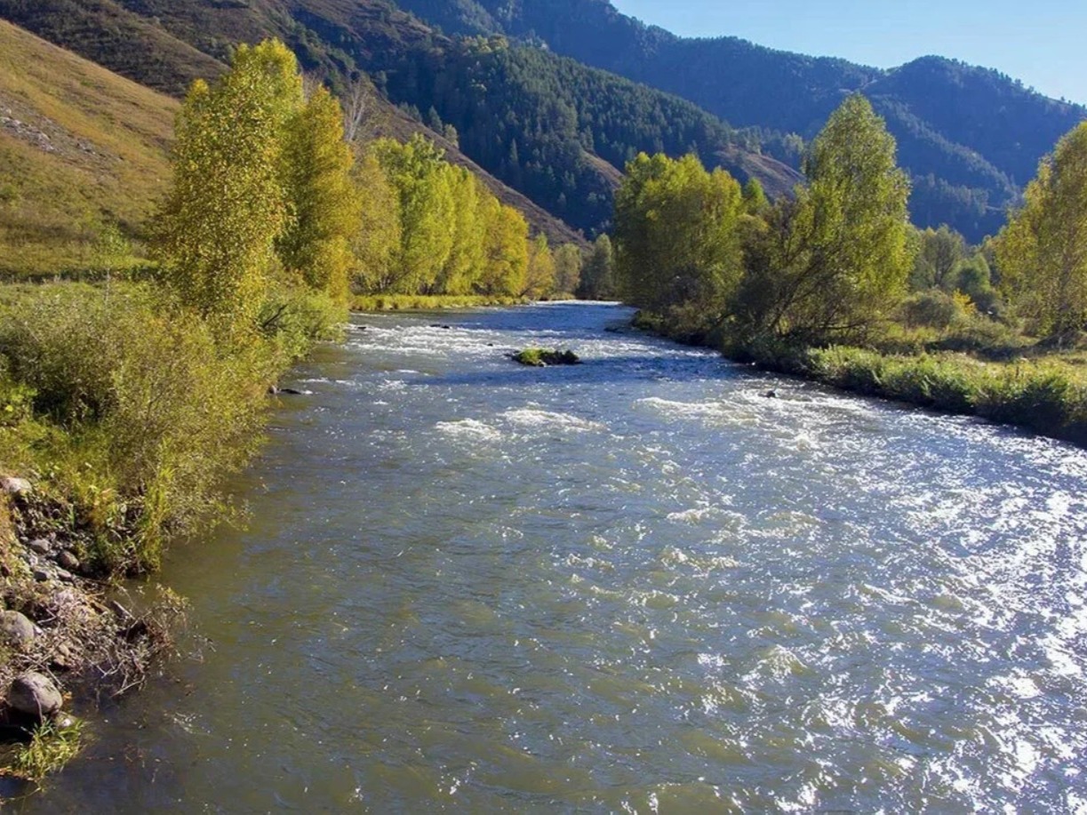 Река Ануй - фото 2