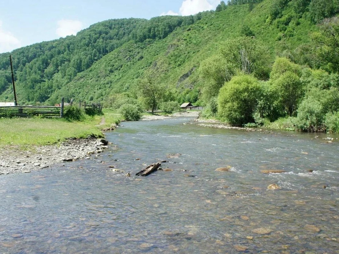 Река Ануй - фото 3