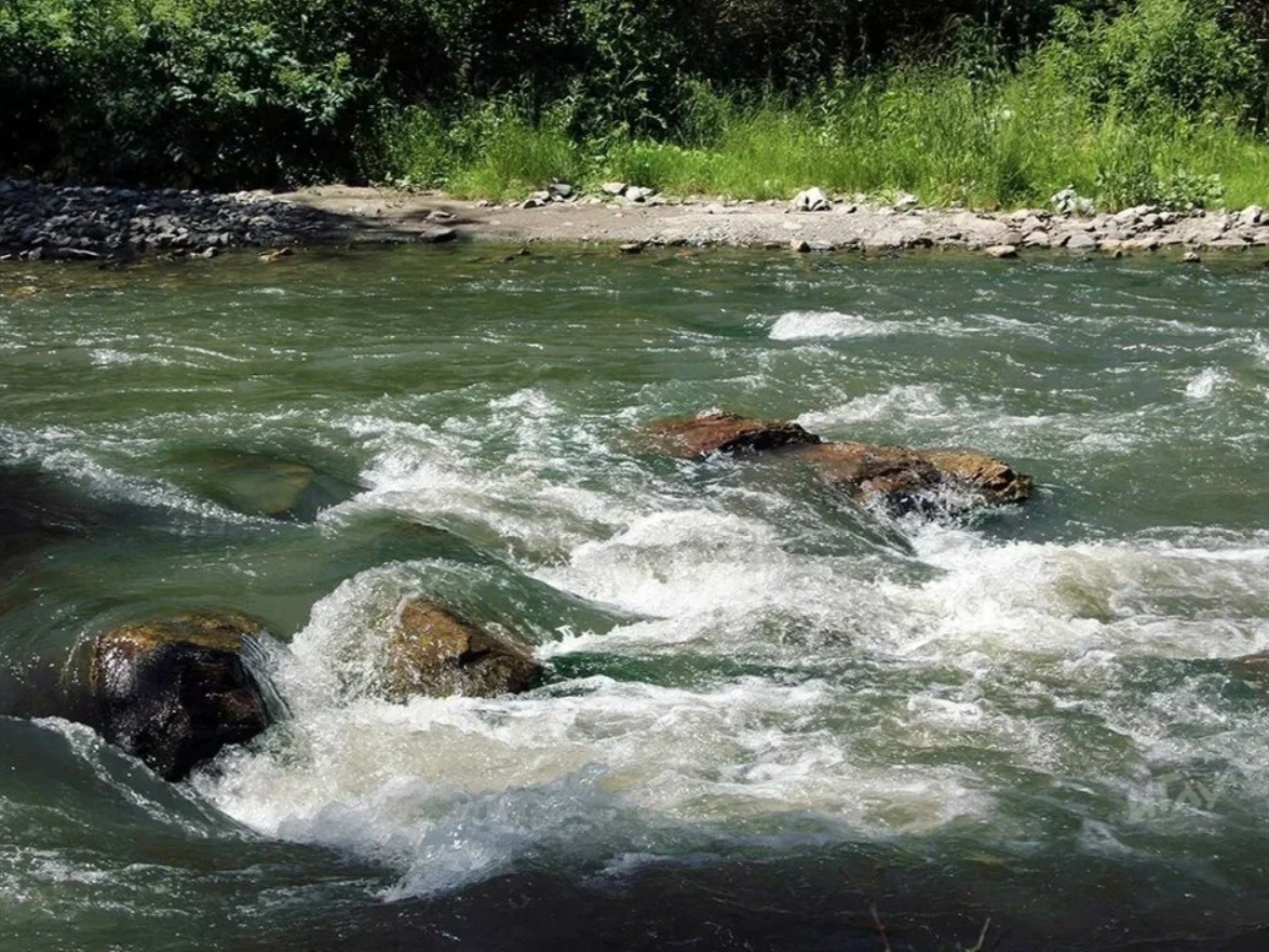 Река Ануй - фото 4