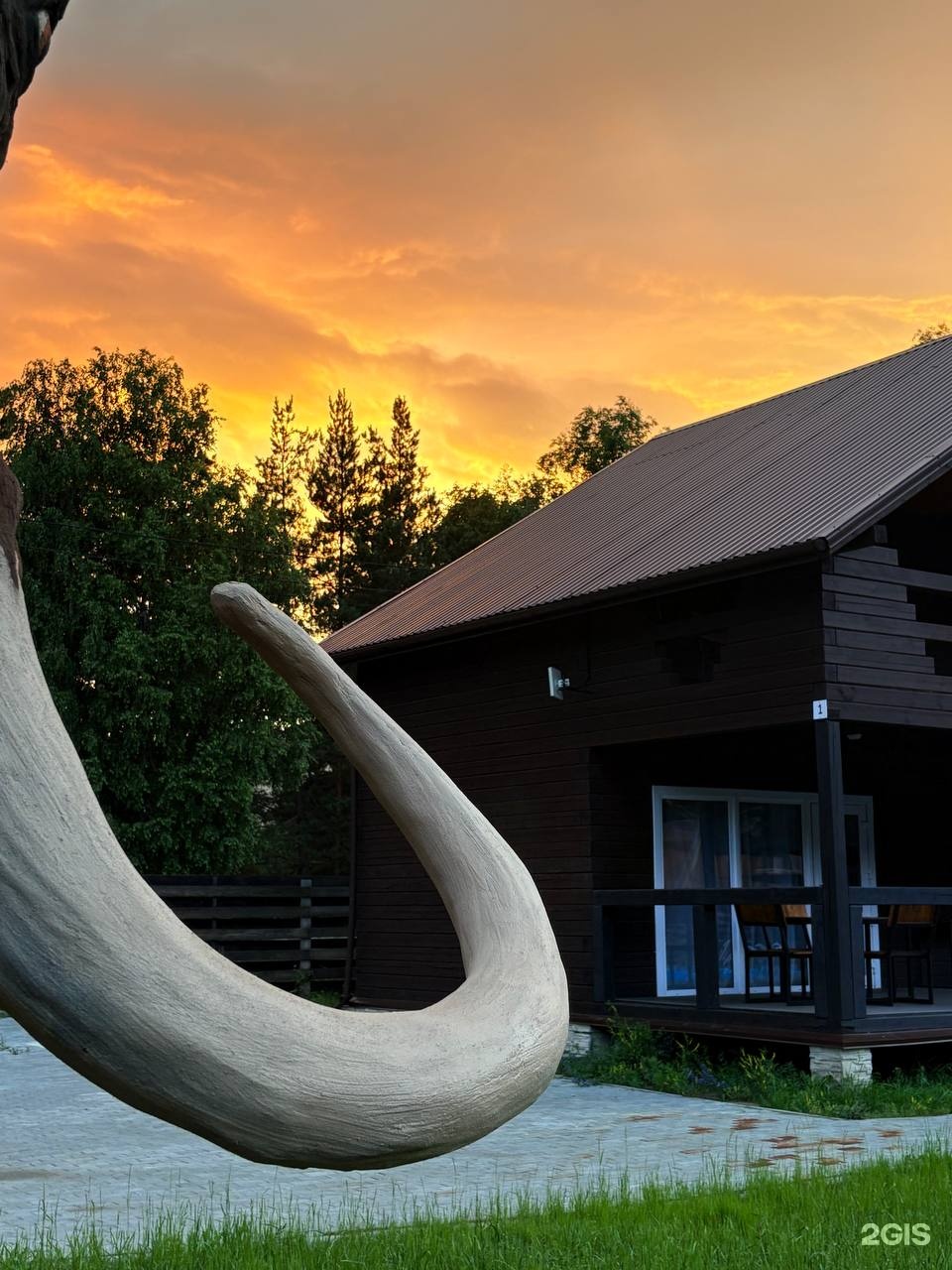 Мамонт - фото 17