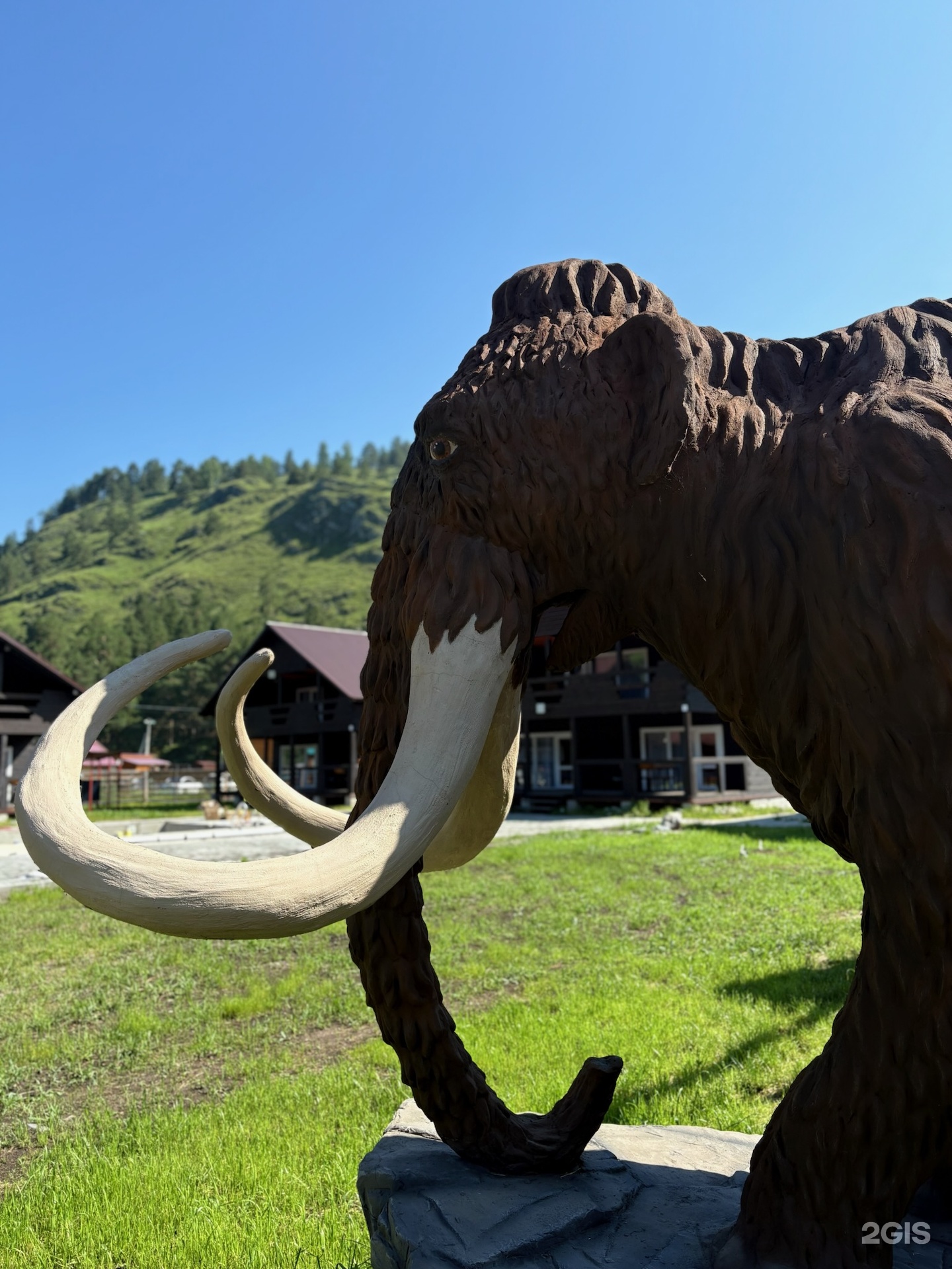 Мамонт - фото 27