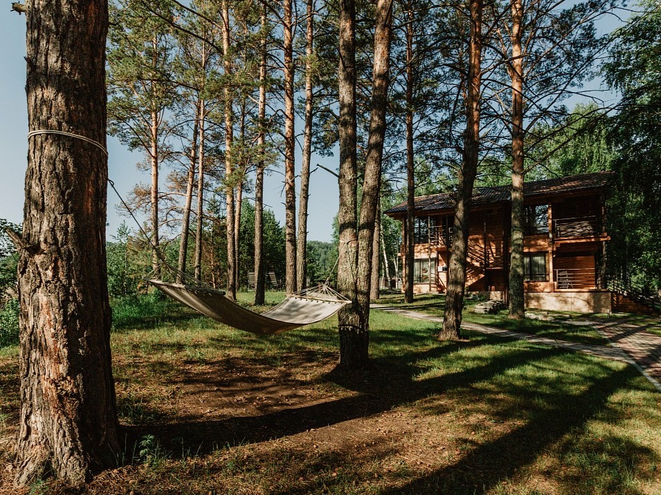 Priroda - фото 3