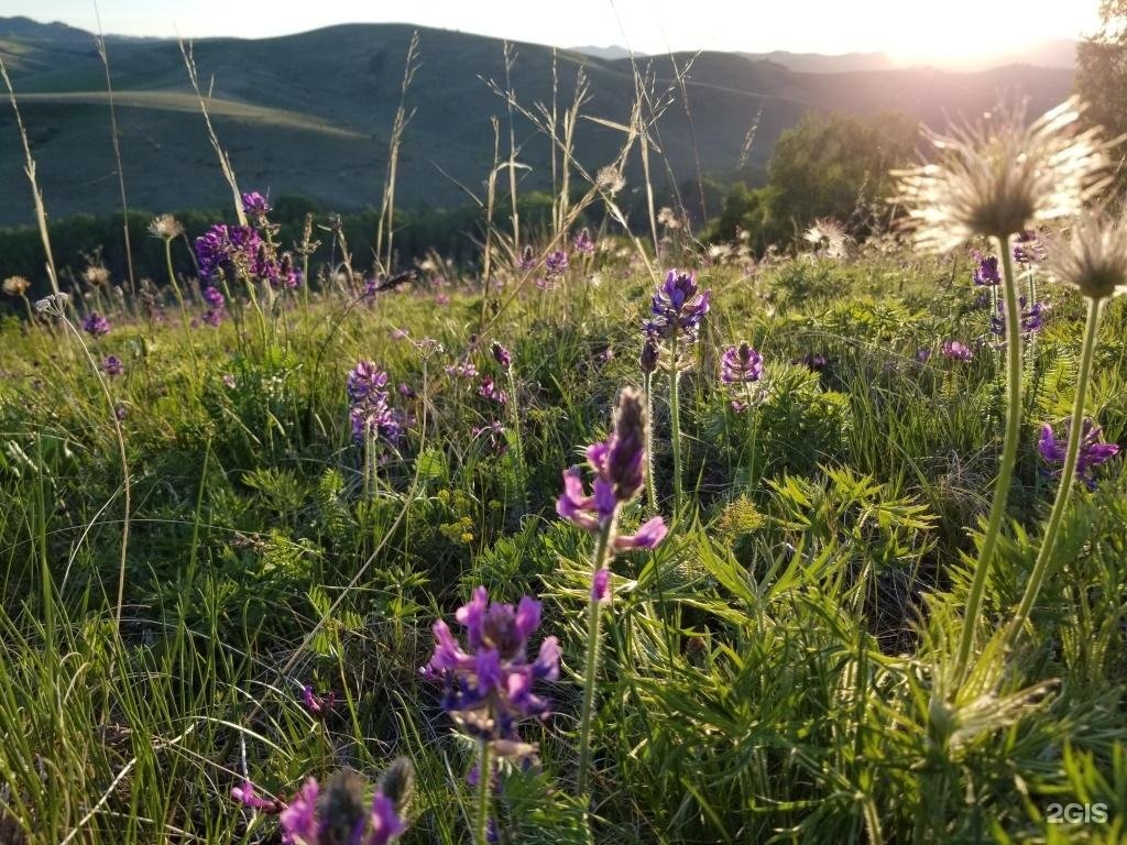 Шамбала - фото 5