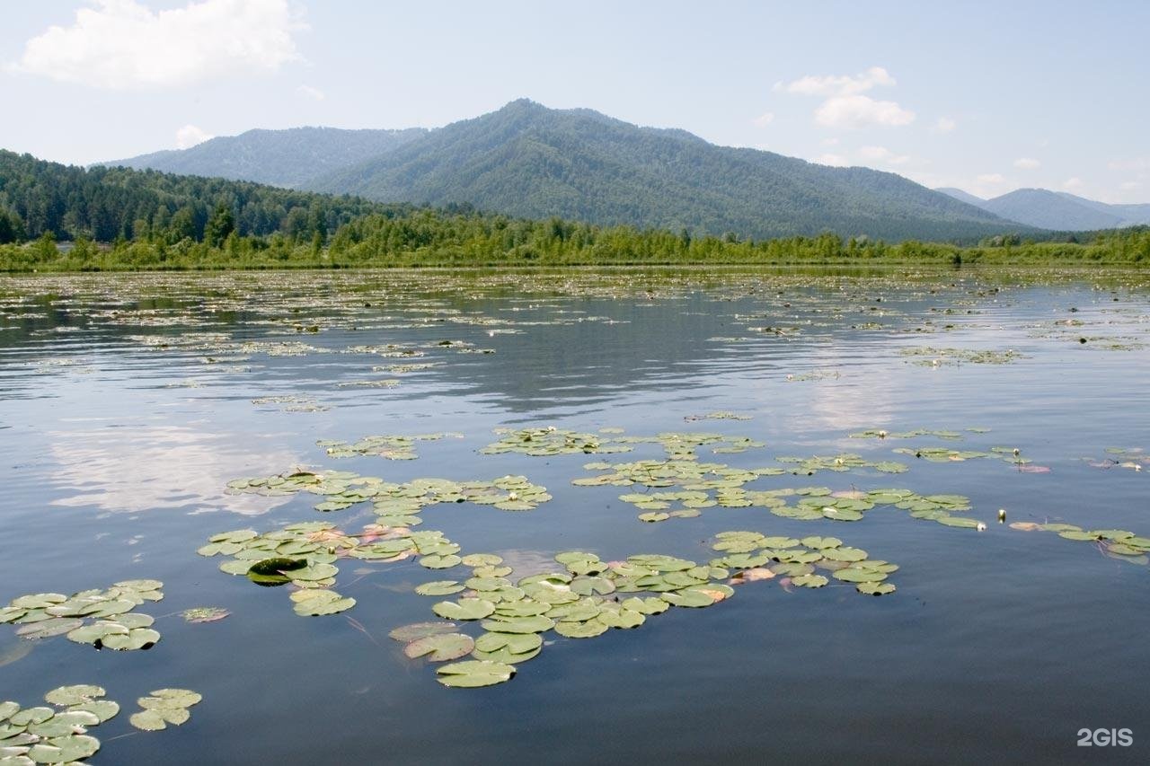 Шамбала - фото 6