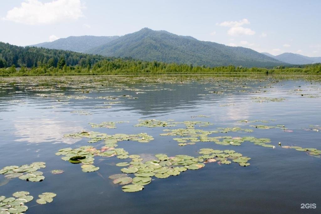 Шамбала - фото 6