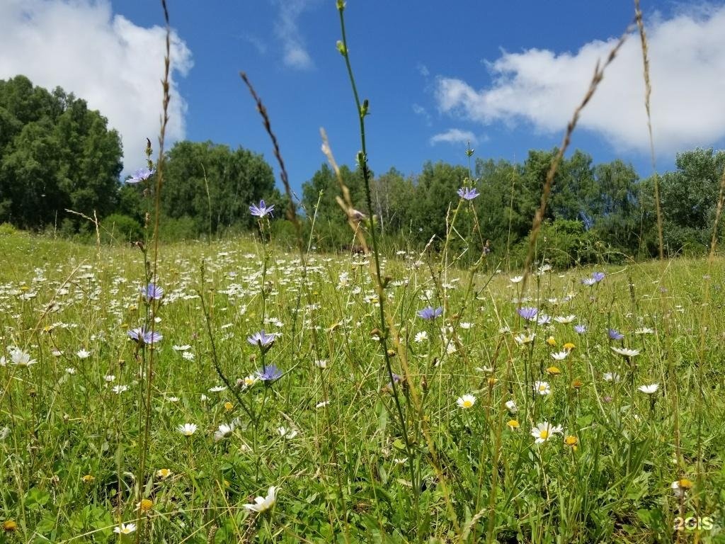 Шамбала - фото 19