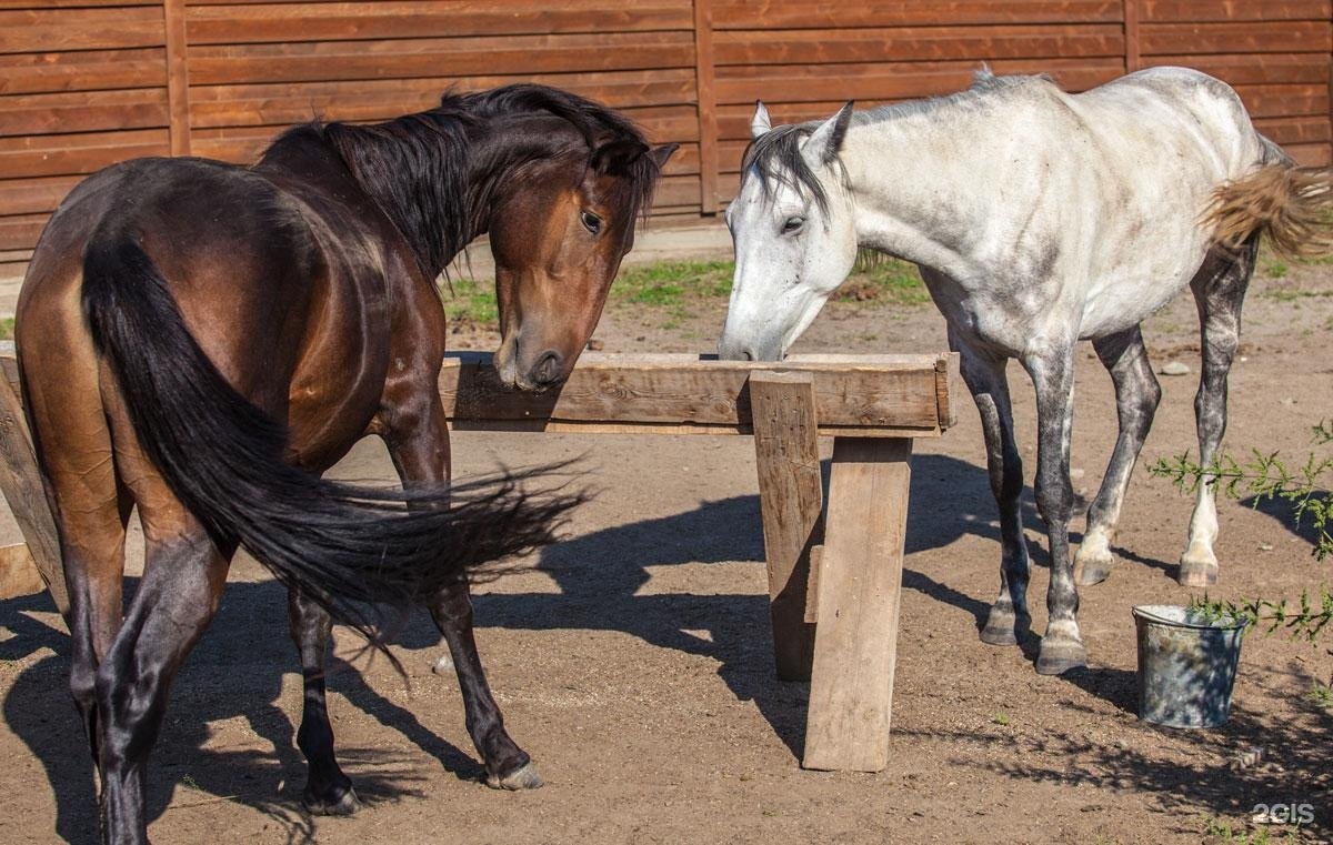 Шамбала - фото 49