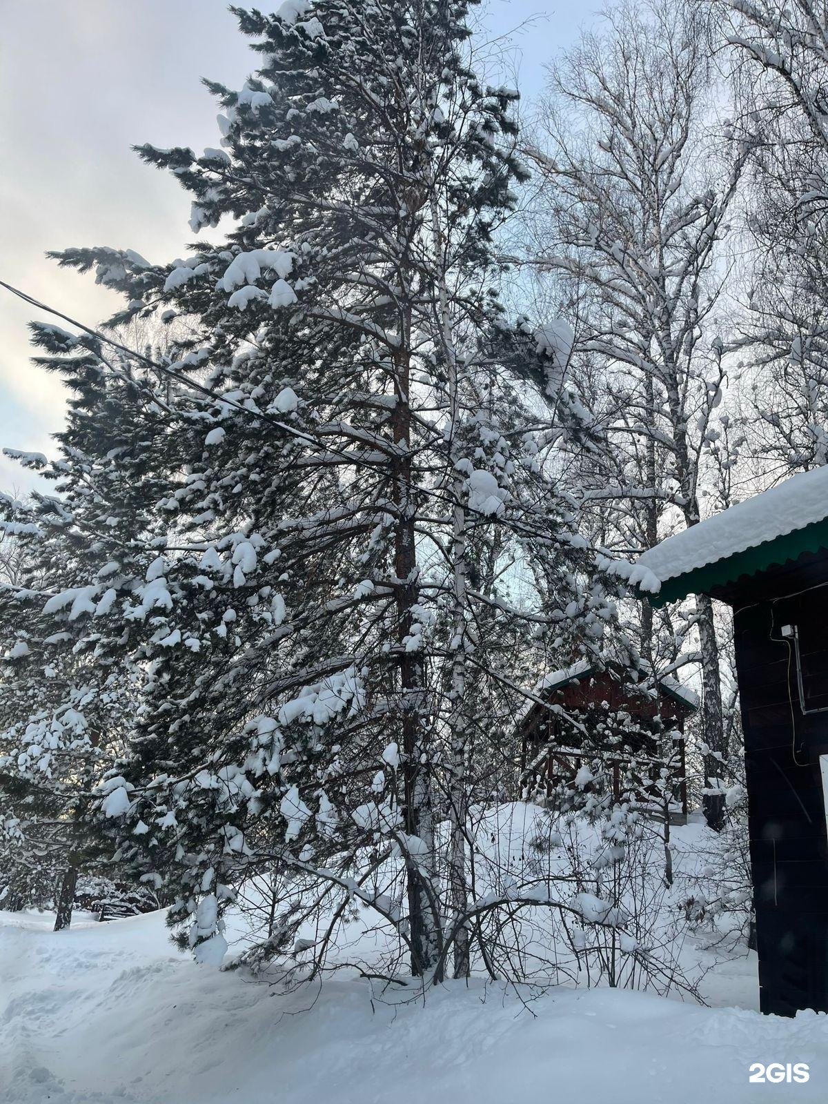 Шамбала - фото 71