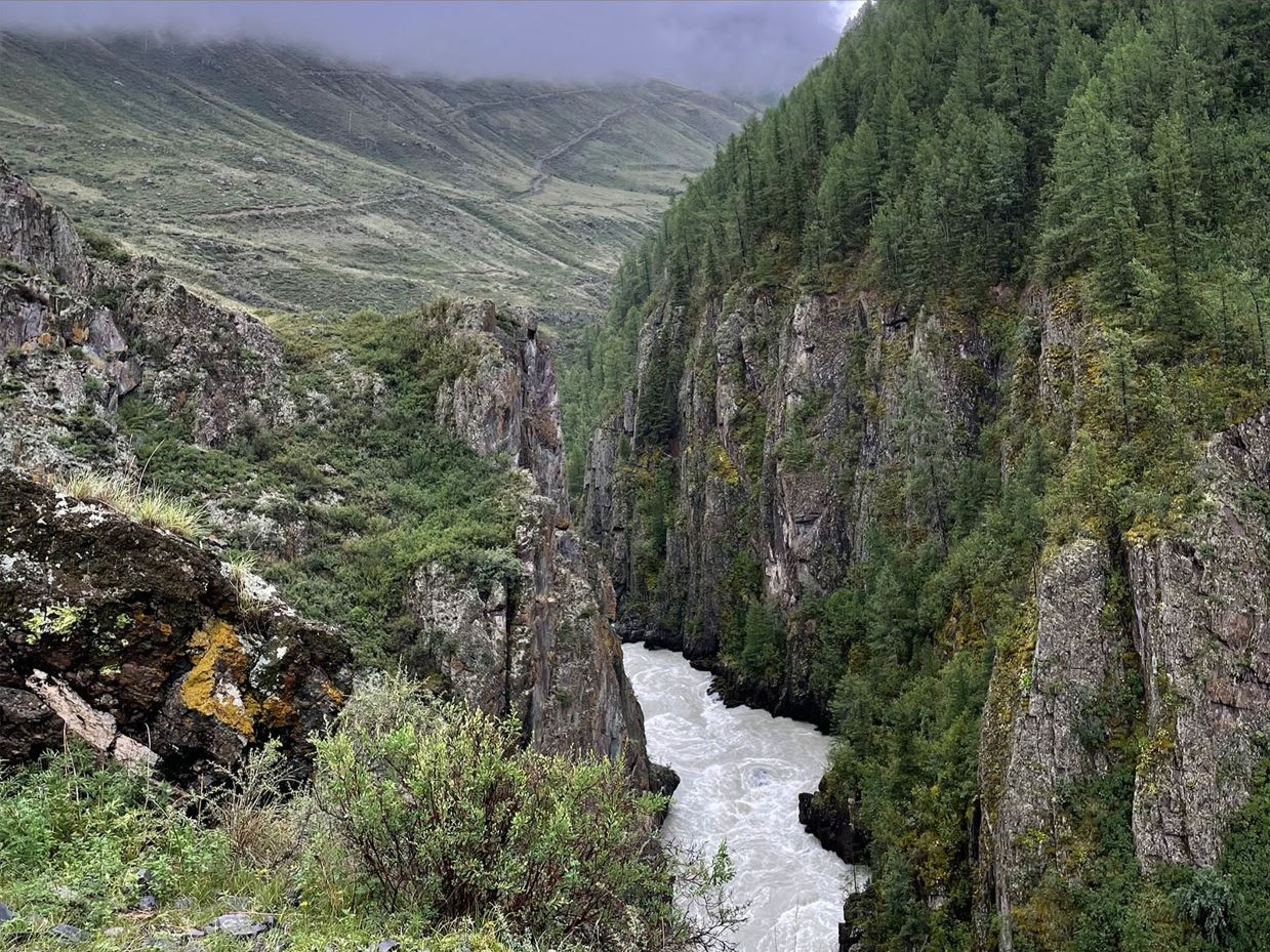 ООО "НАСЛЕДИЕ АЛТАЯ" - фото 3
