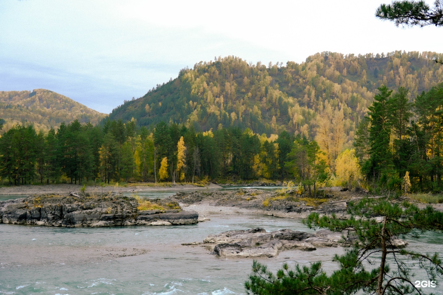 Любава - фото 69