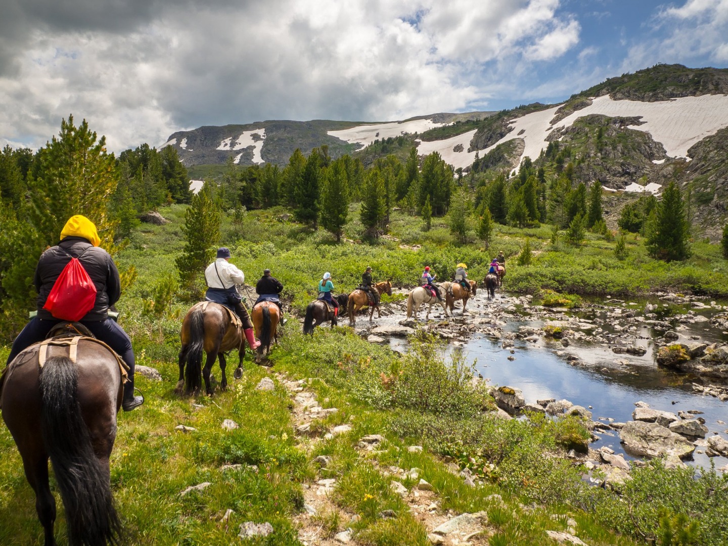 ООО "ЭКОШАМАНВАЙБ" - фото 2