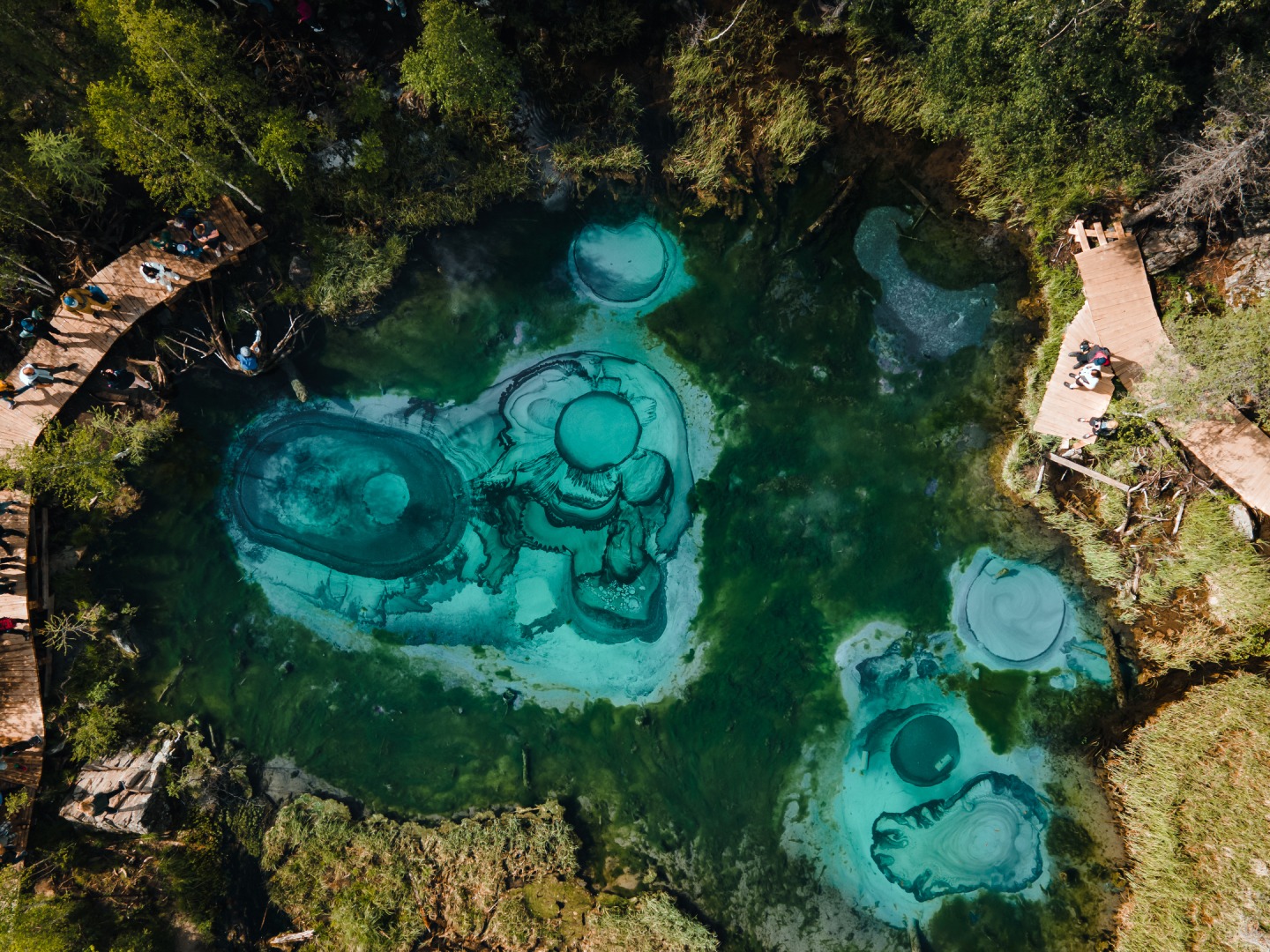 ООО "ЭКОШАМАНВАЙБ" - фото 4