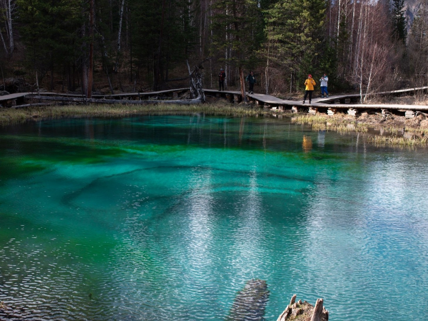ООО "ГЛОБАЛ-ТУР" (БОЛЬШОЙ АЛТАЙ) - фото 4