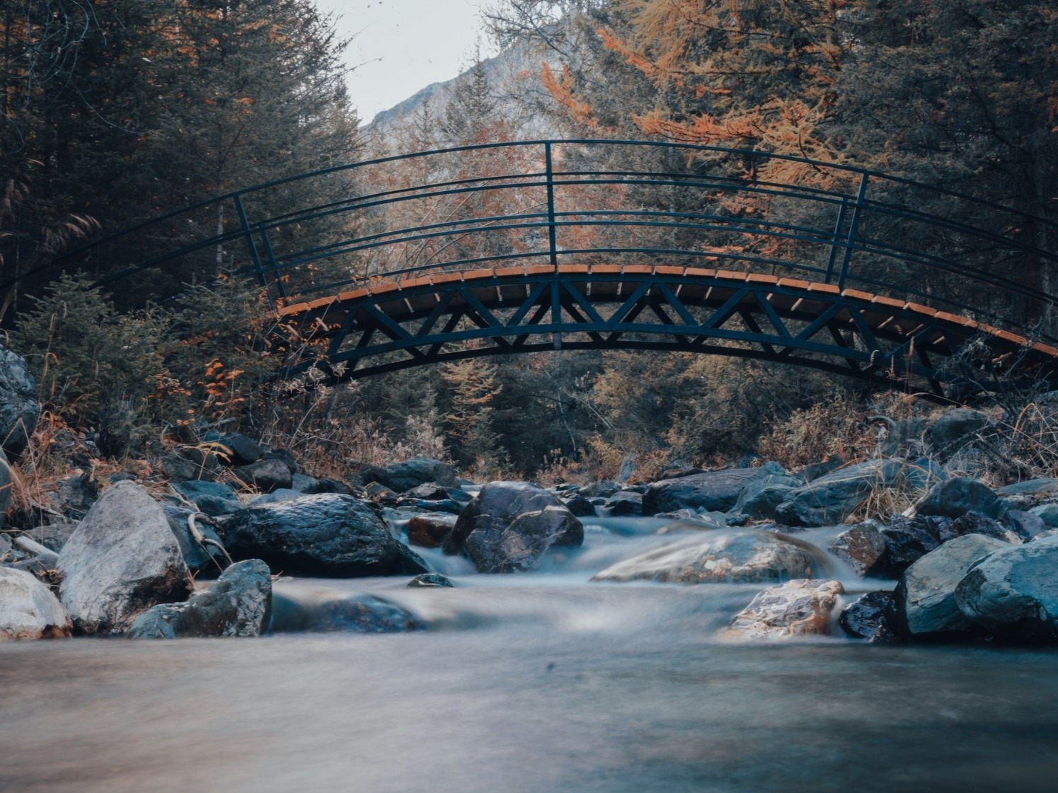 ООО "ГЛОБАЛ-ТУР" (БОЛЬШОЙ АЛТАЙ) - фото 7