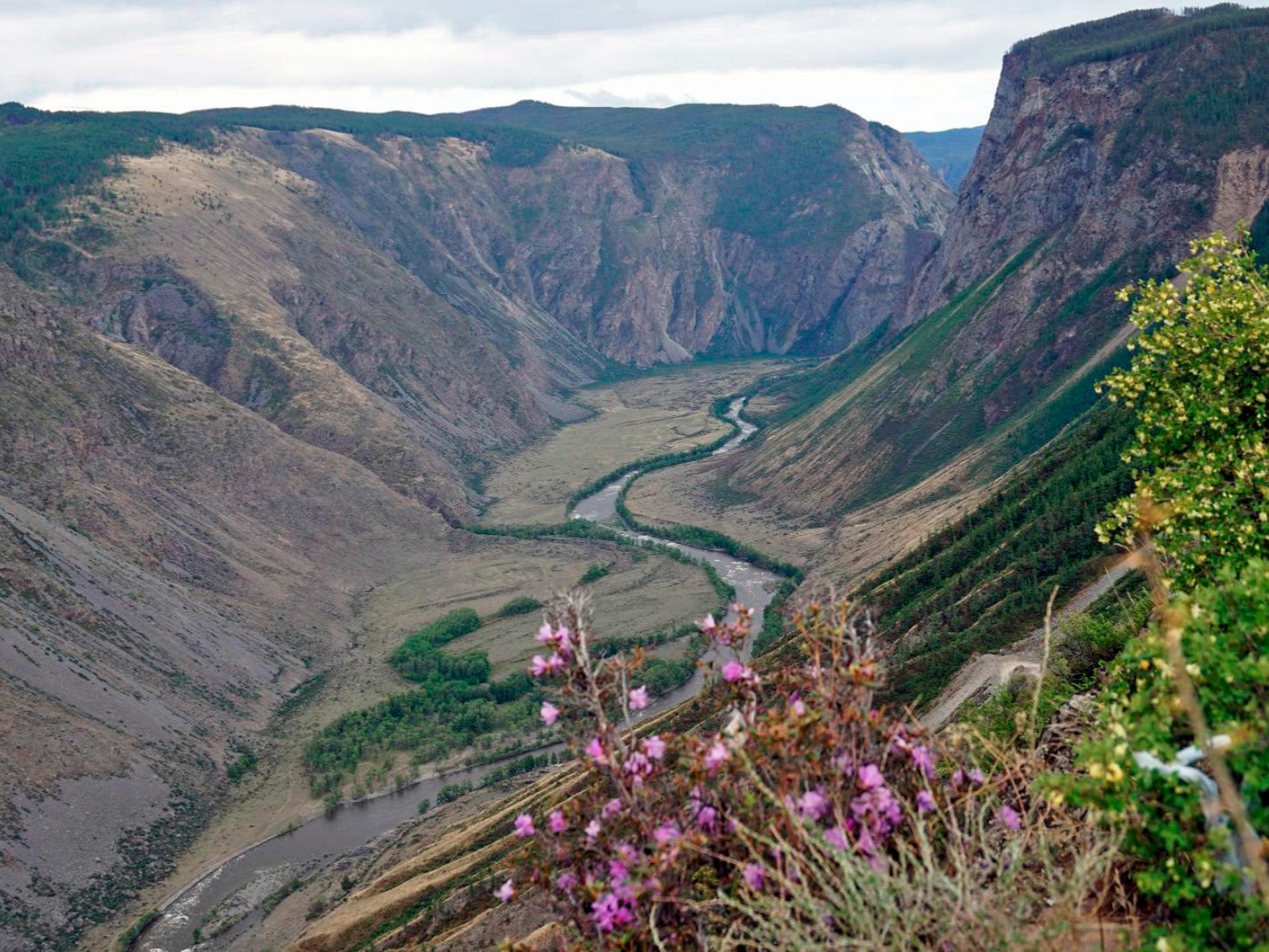 ООО "ЭНЕРГИЯ АЛТАЯ" (Алтай-Energy) - фото 3
