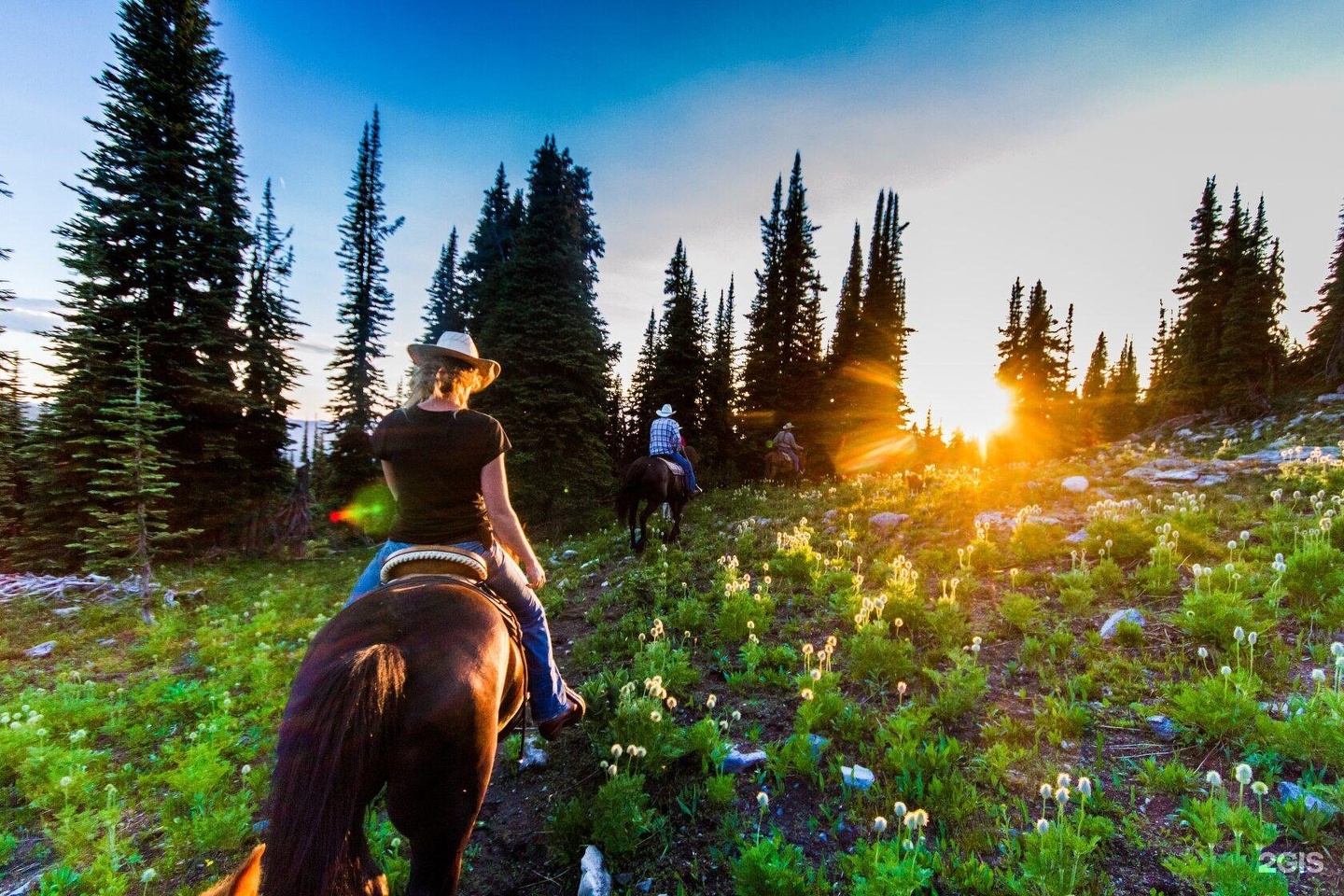 Сельская усадьба - фото 16