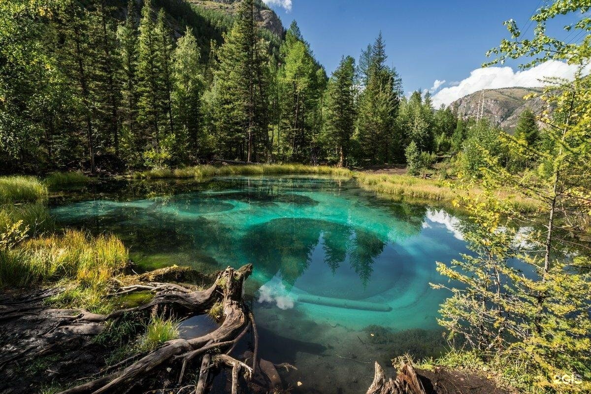 Сельская усадьба - фото 41