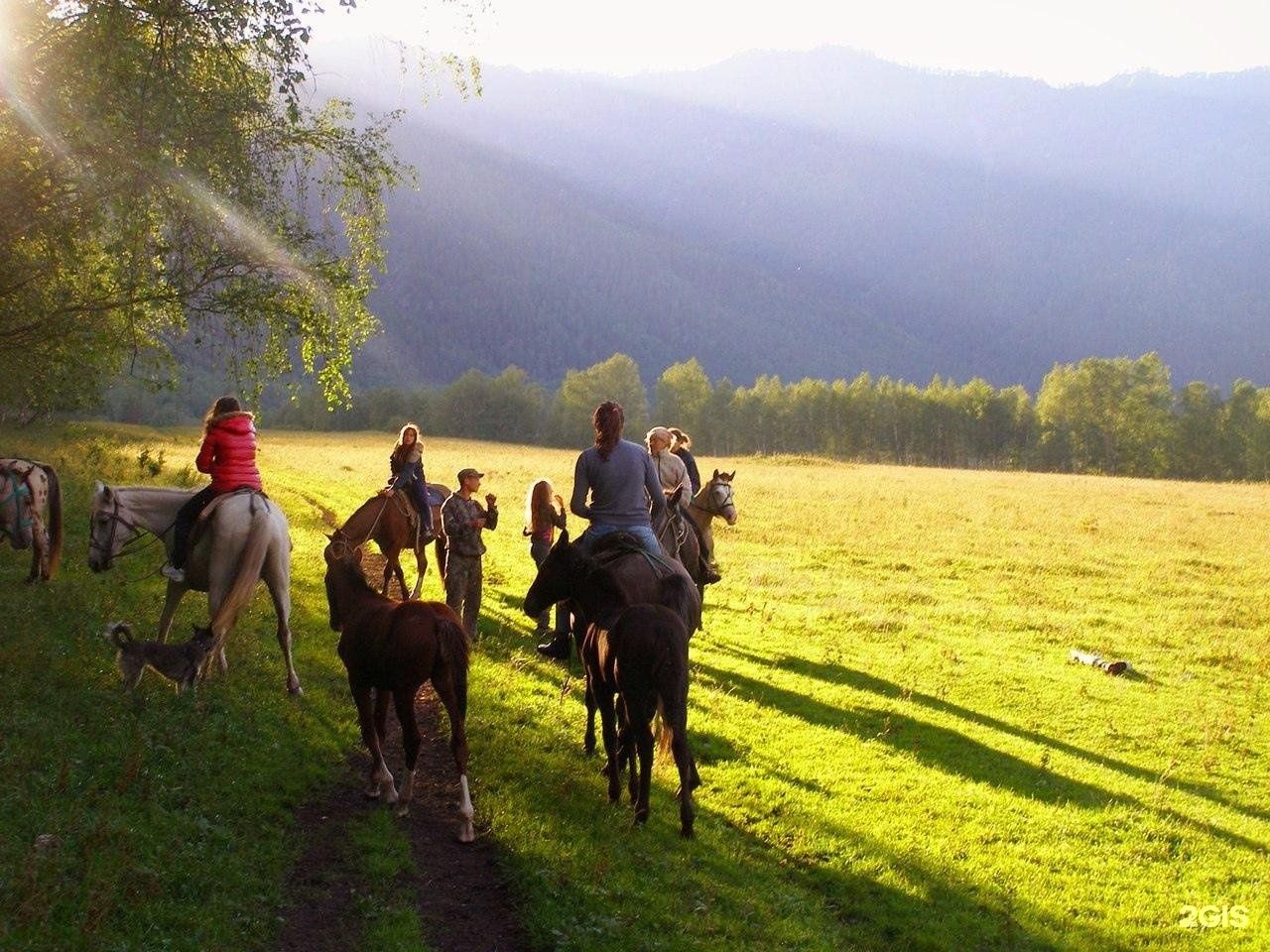 Сельская усадьба - фото 46