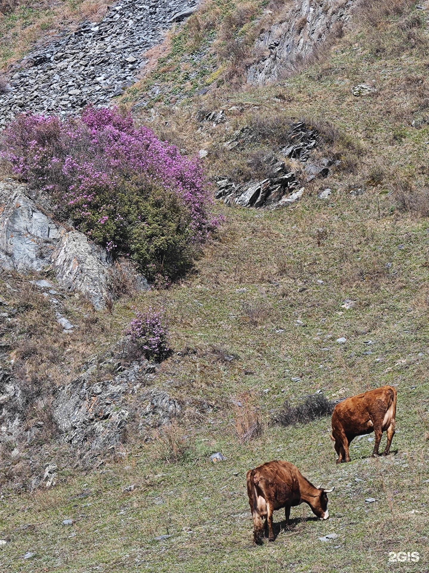 Сельская усадьба - фото 61