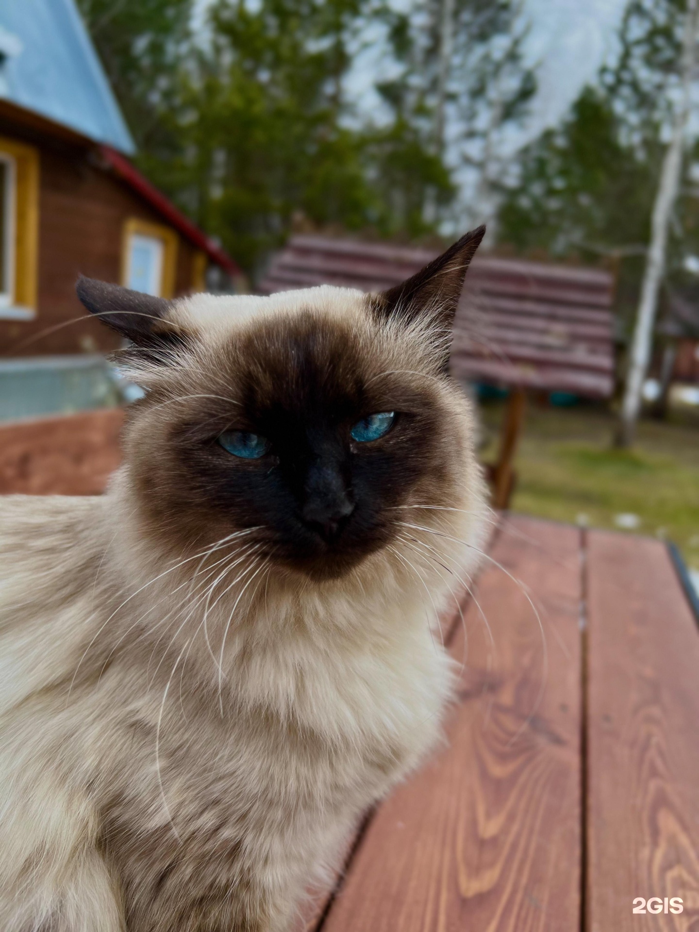 Сельская усадьба - фото 77