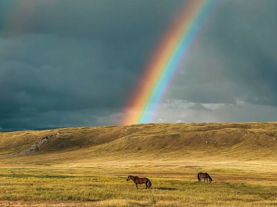 ООО "АЙСУЛТАН ТУР" - фото 3