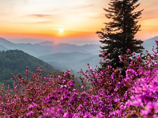 ООО "СОЗВЕЗДИЕ" - фото 1