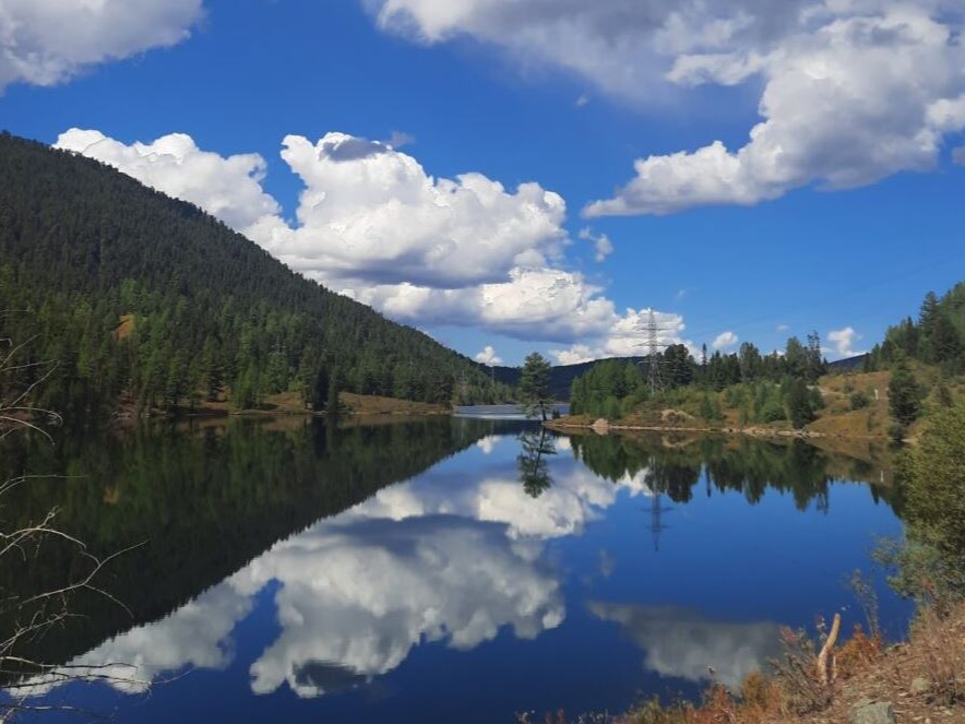 ООО "СОЗВЕЗДИЕ" - фото 3