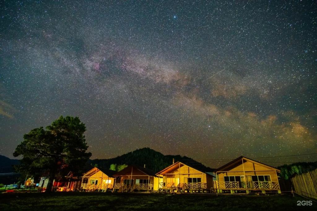 Greenwood - фото 2