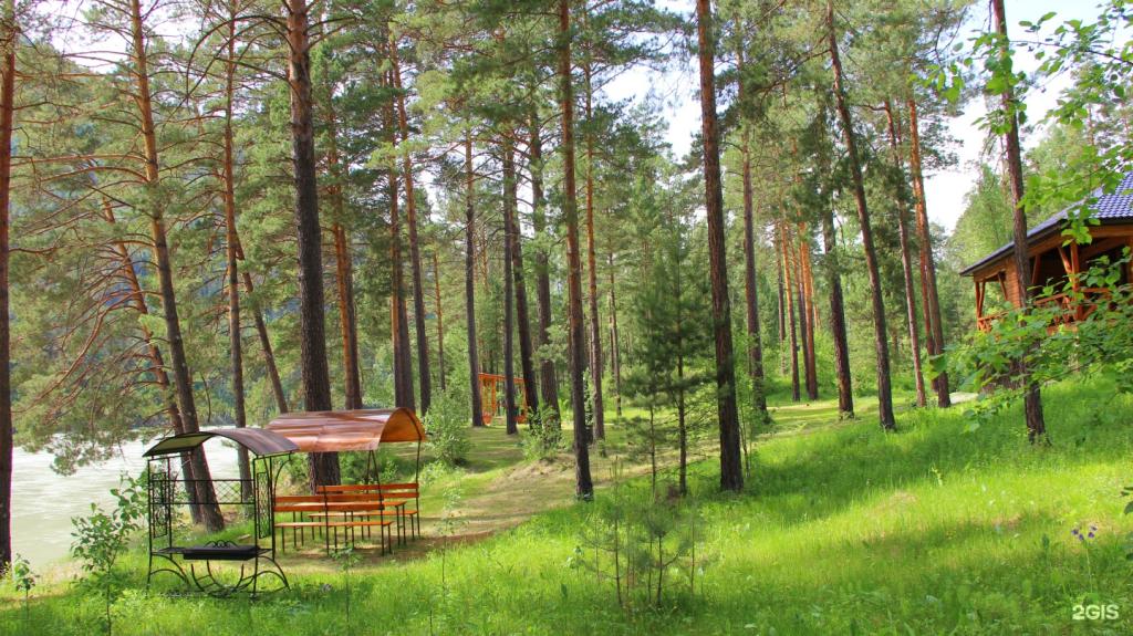 Эрандэл - фото 1