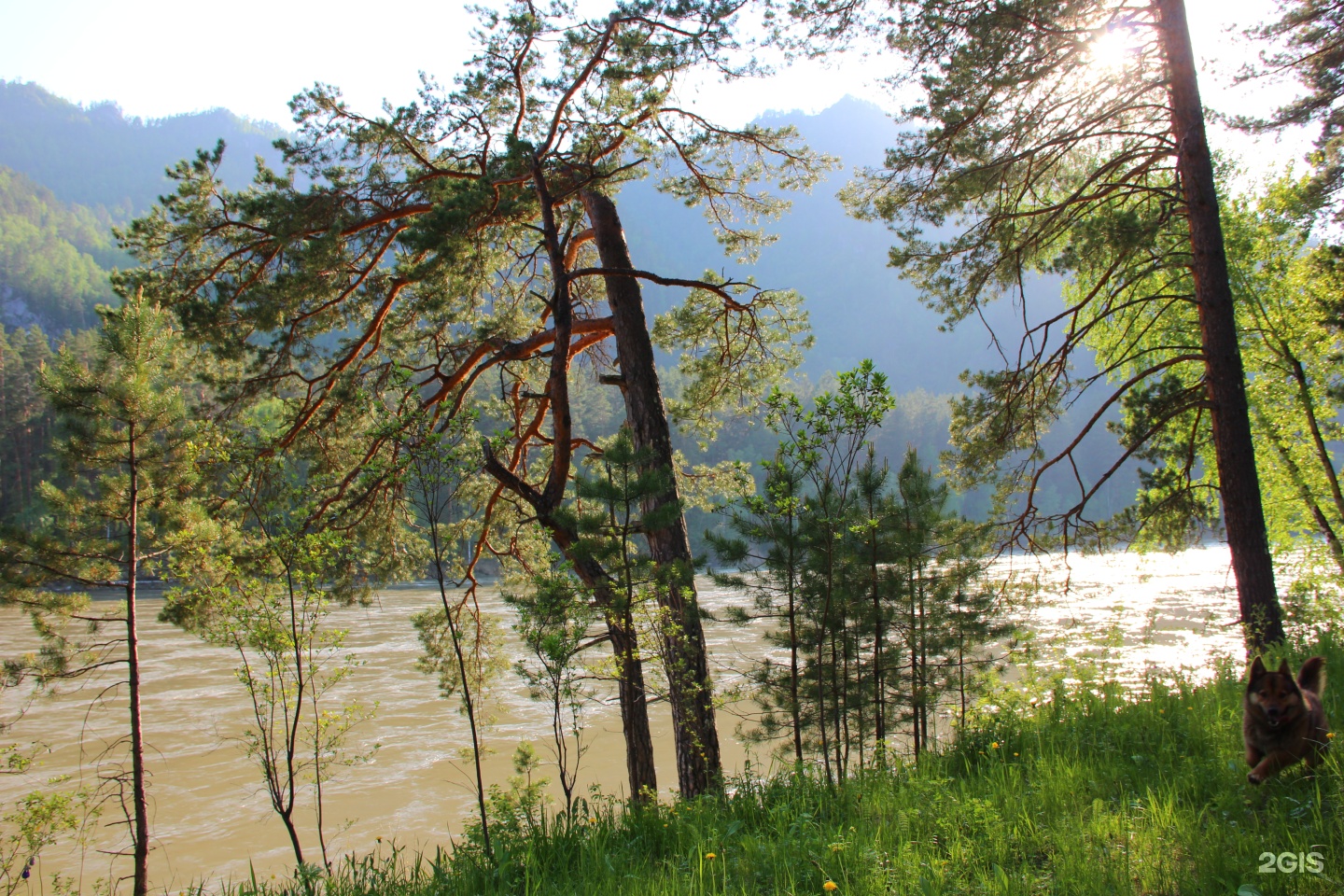 Эрандэл - фото 8