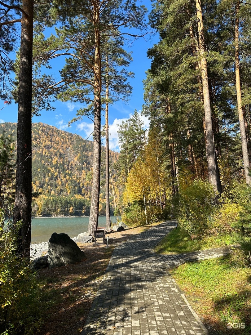 Орлиное гнездо - фото 38