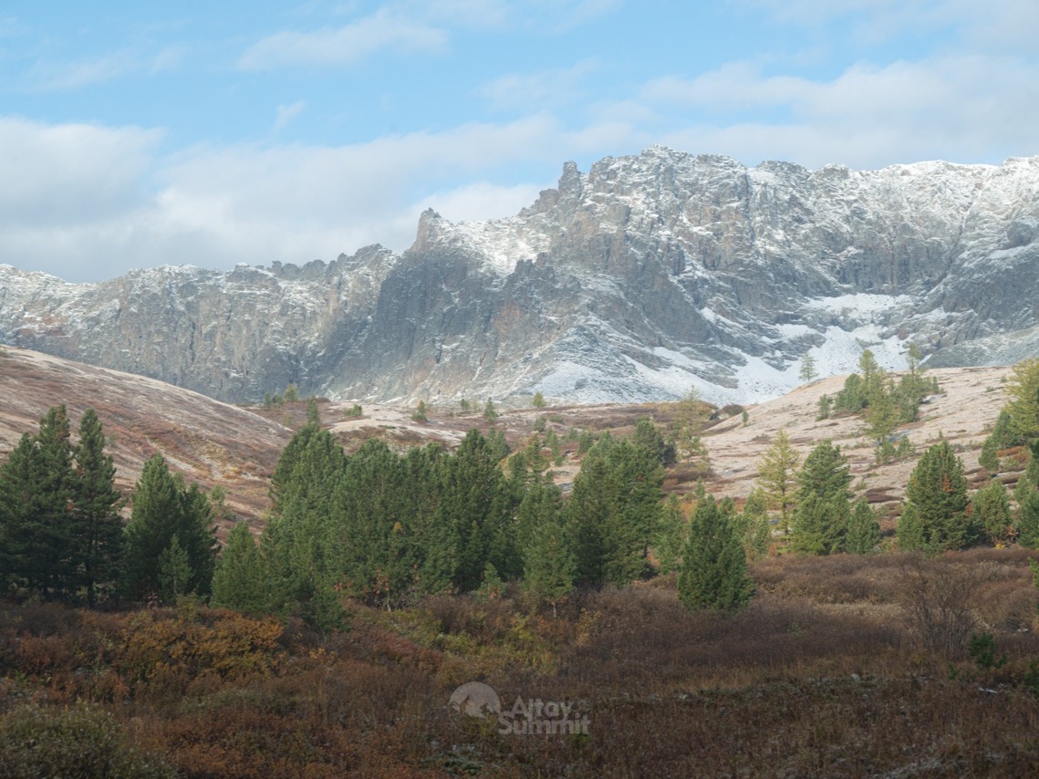 ООО "АЛТАЙ САММИТ" - фото 1