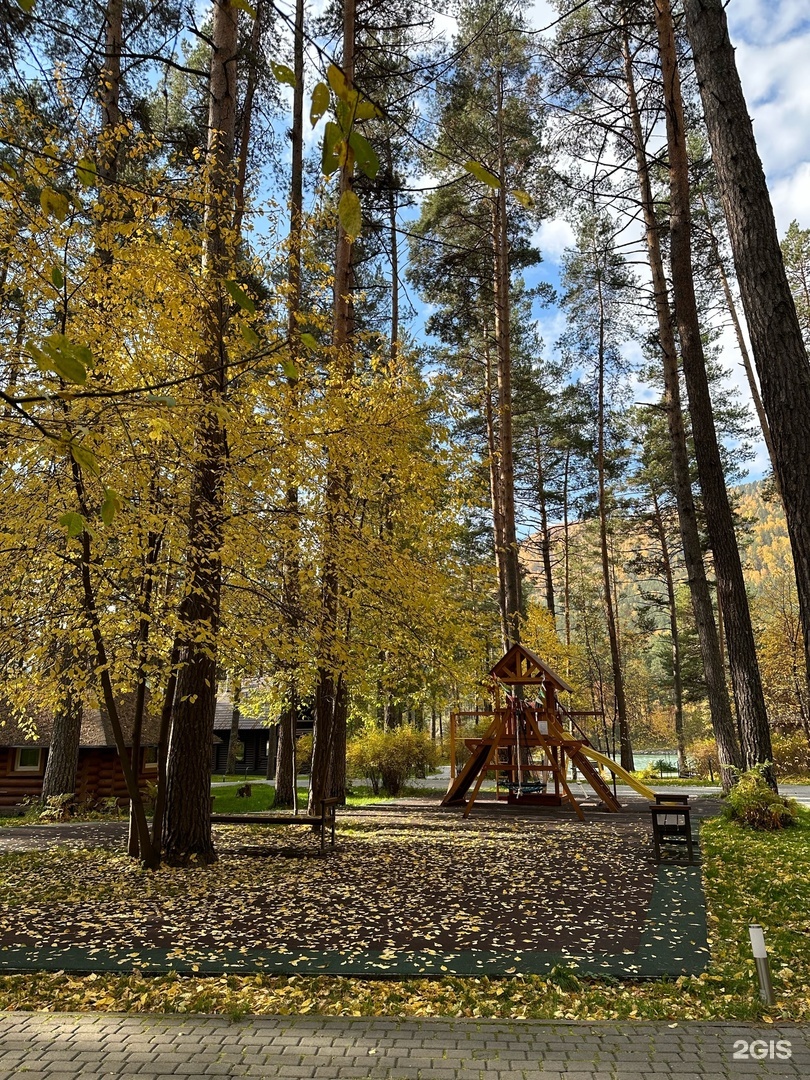 Орлиное гнездо - фото 59