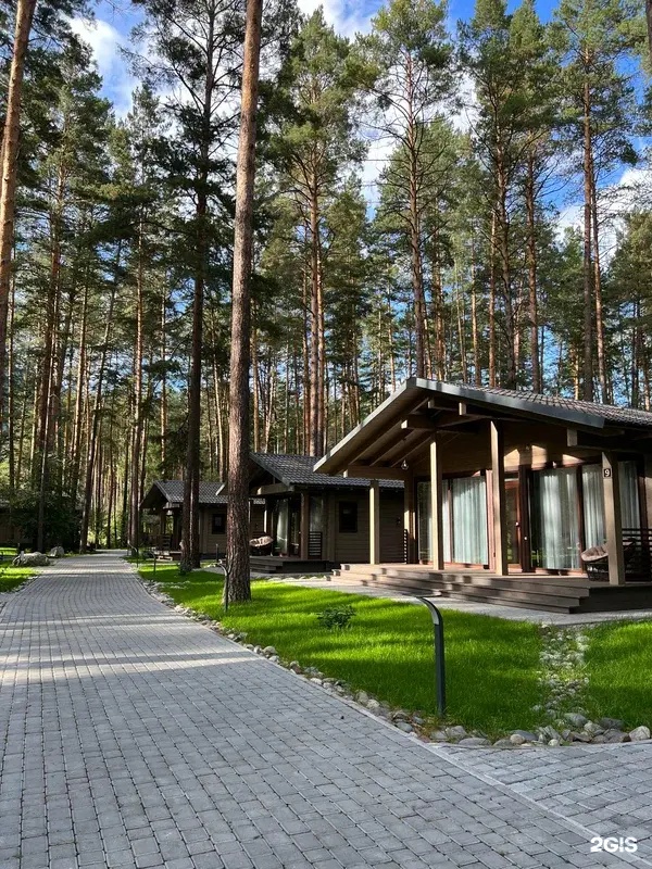 Орлиное гнездо - фото 61