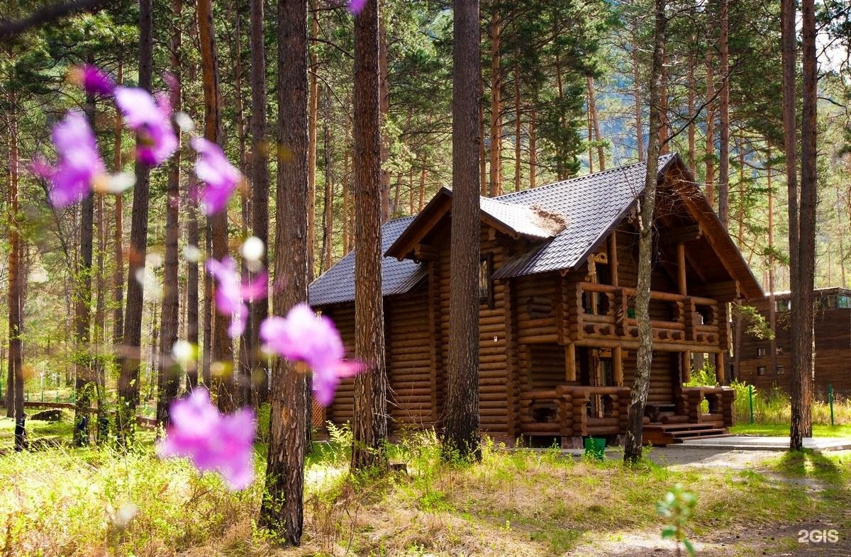 Орлиное гнездо - фото 81