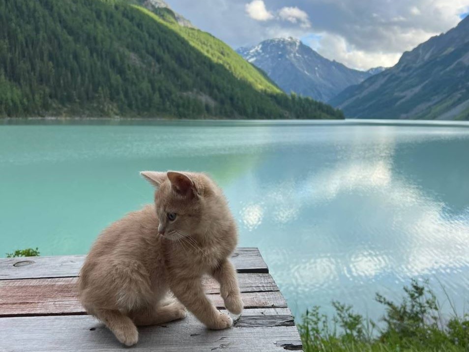 АО "УЧ-СУМЕР" - фото 2