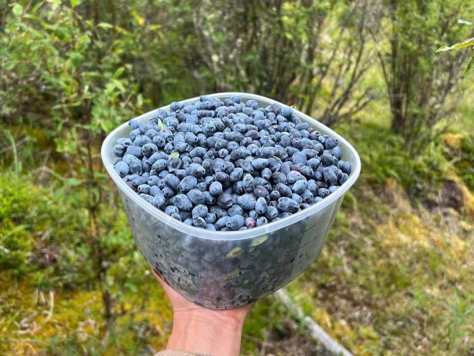 АО "УЧ-СУМЕР" - фото 3