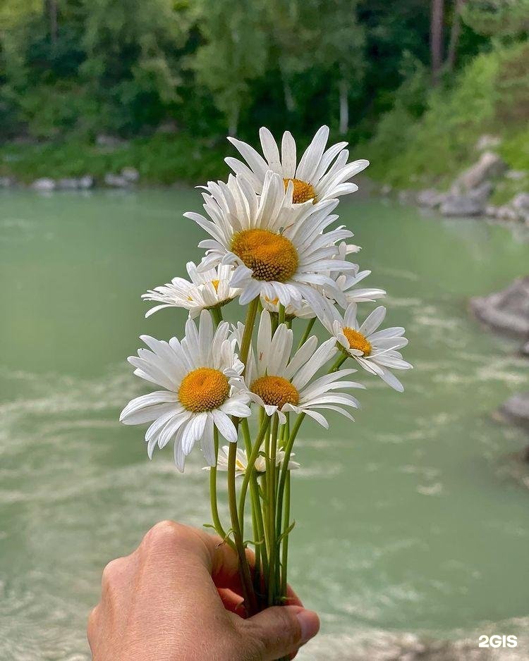 Гелион - фото 73