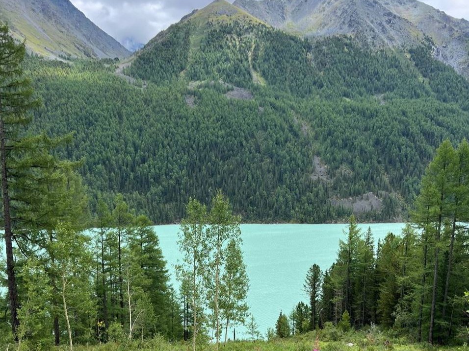 АО "УЧ-СУМЕР" - фото 6