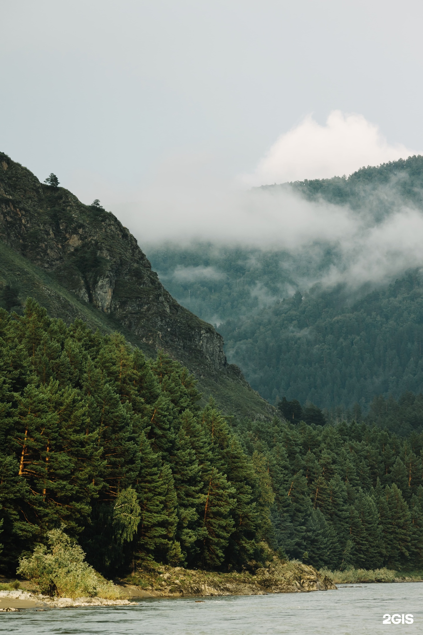 МираМирам - фото 54