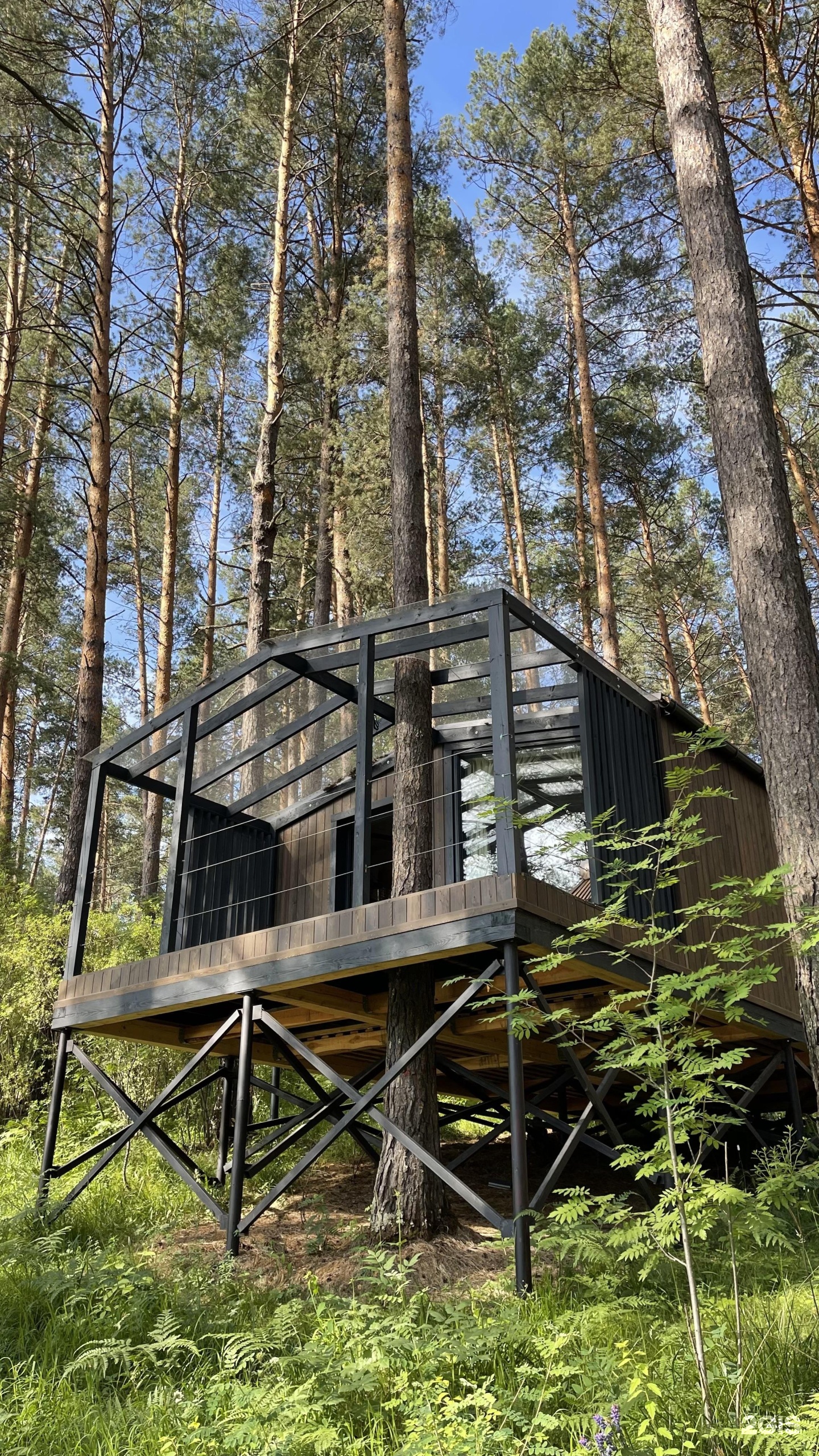 МираМирам - фото 58