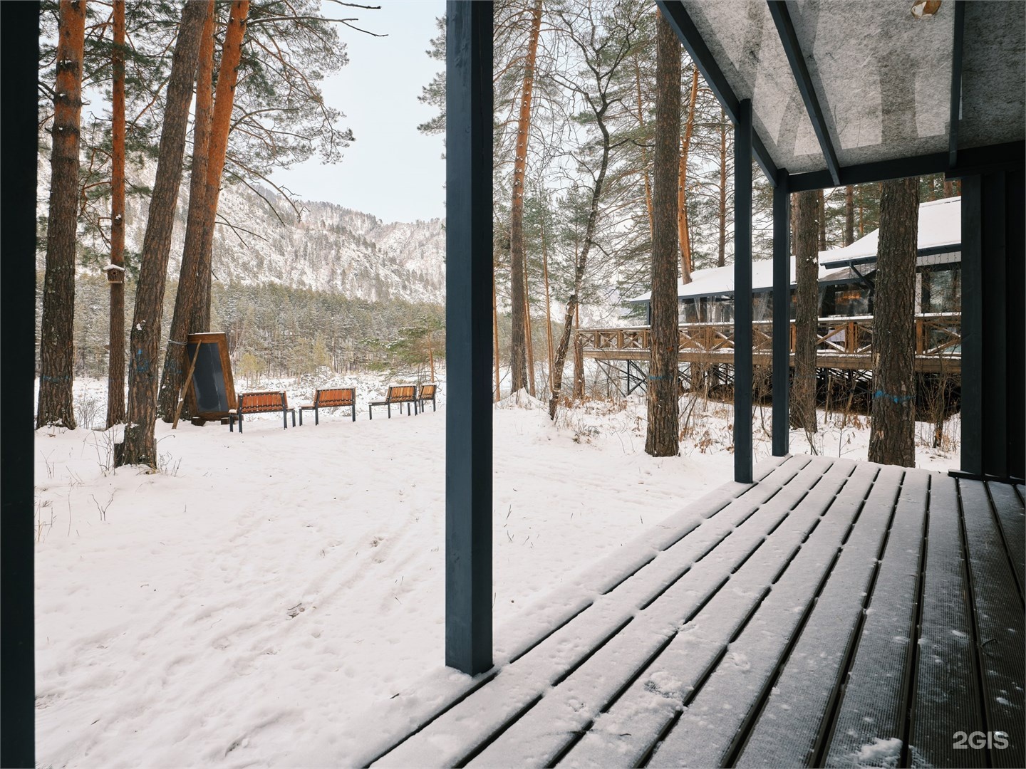 Люкс с видом на лес - фото 3