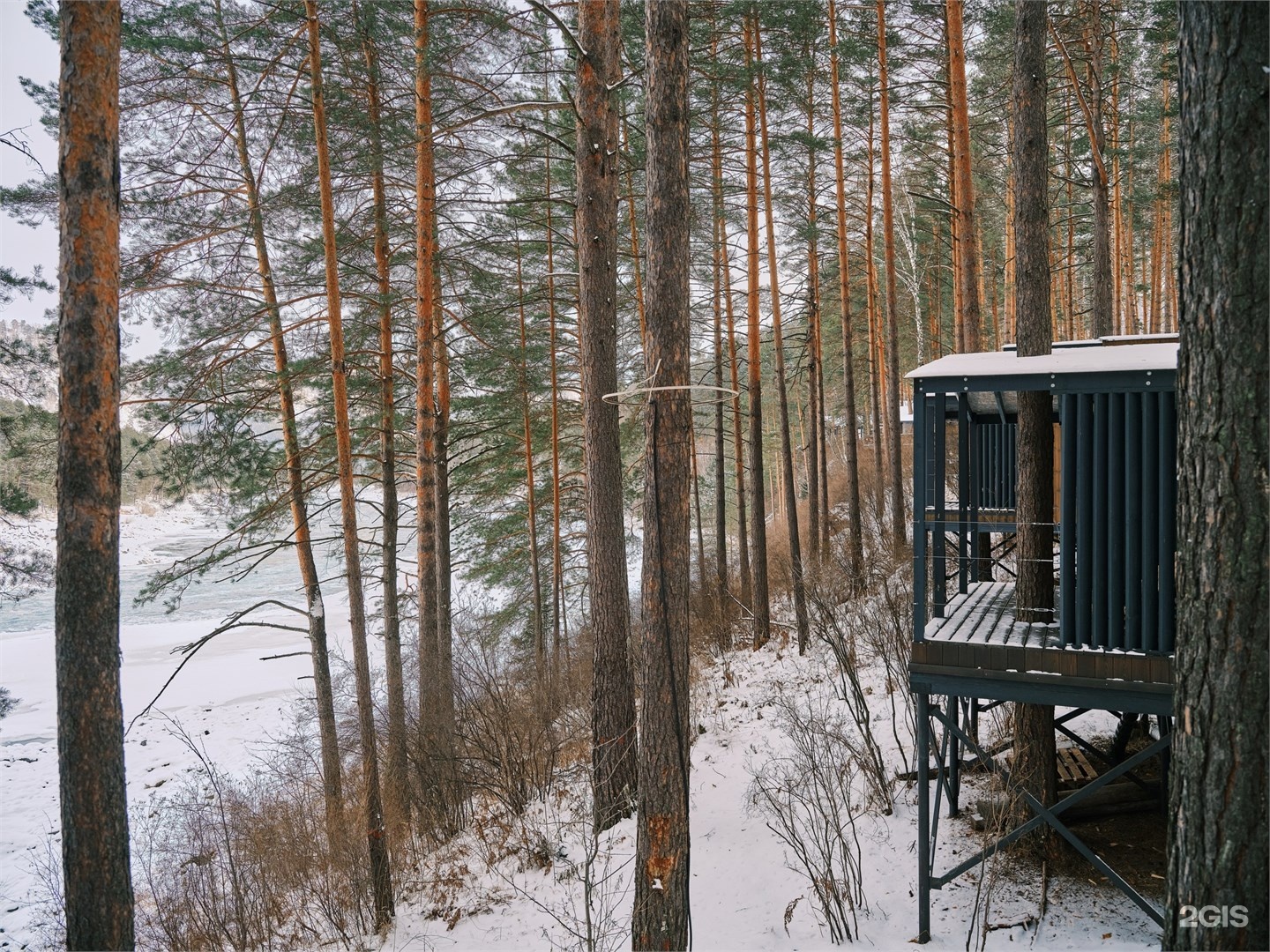 Люкс с видом на Катунь - фото 2