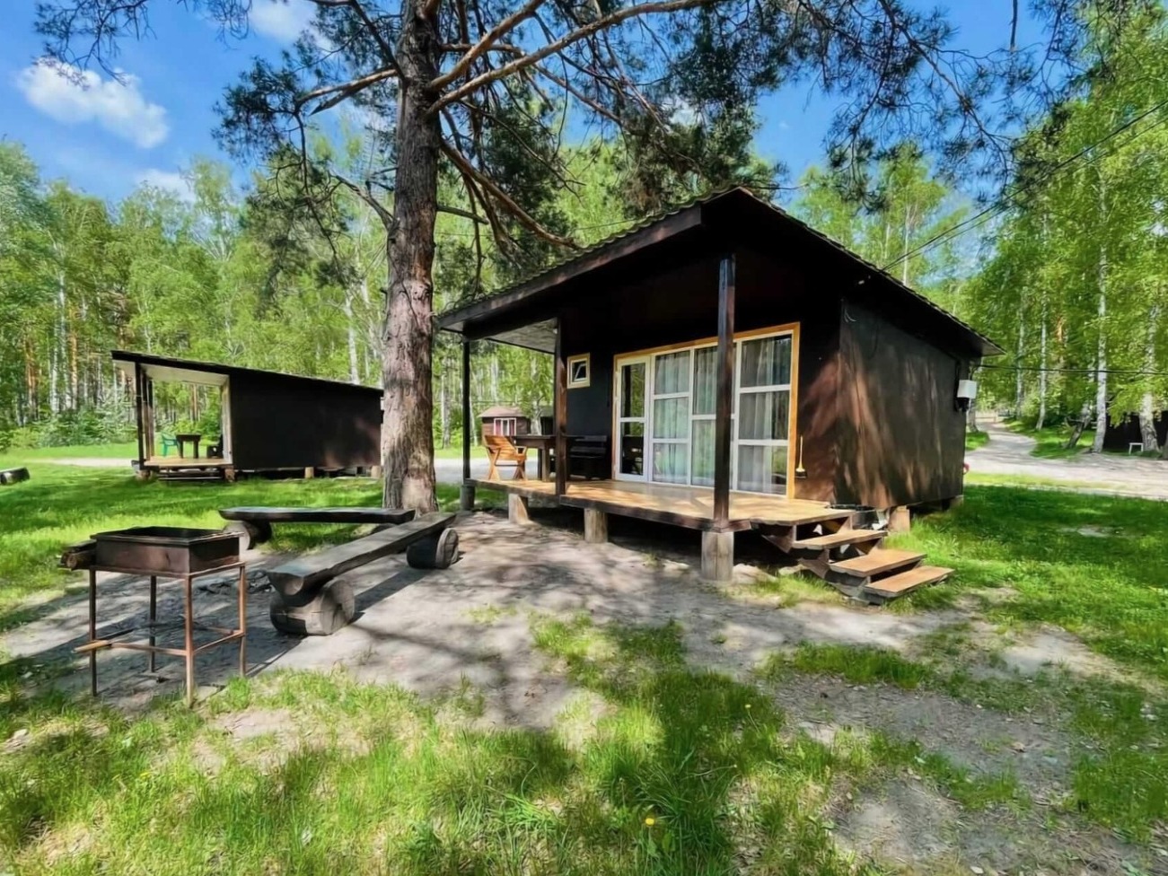 Ёлки Иголки - фото 4