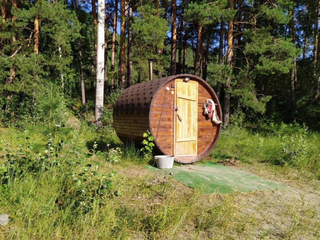 Ёлки Иголки - фото 6