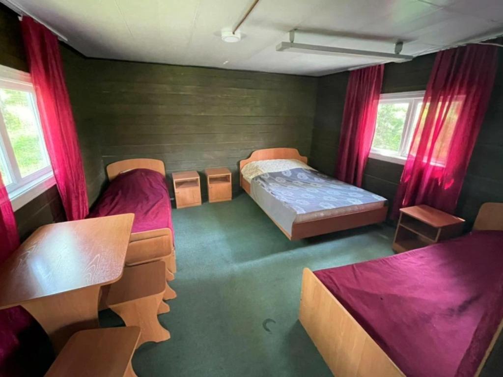 Ёлки Иголки - фото 7