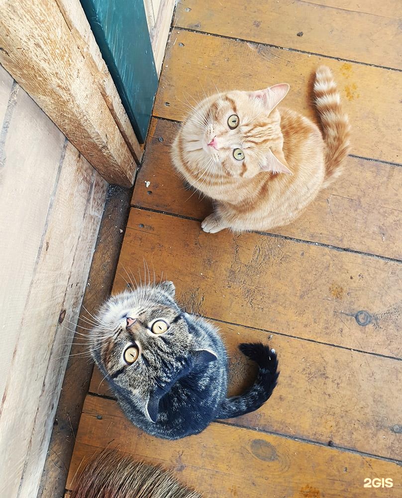 Маленькая страна - фото 31