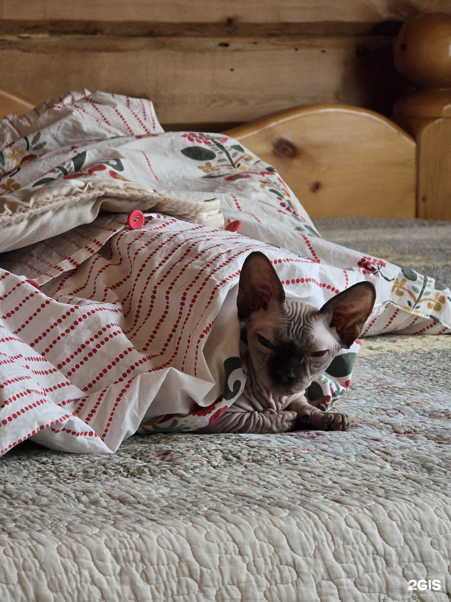 Маленькая страна - фото 32