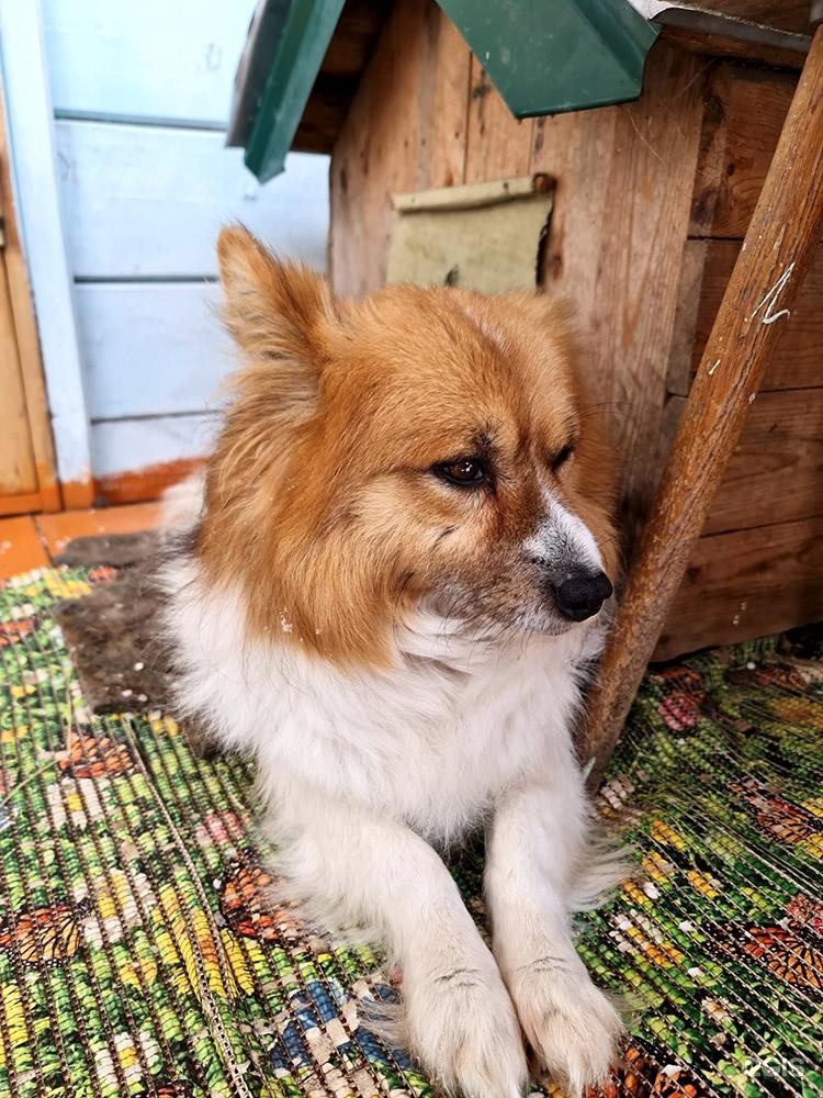 Маленькая страна - фото 39